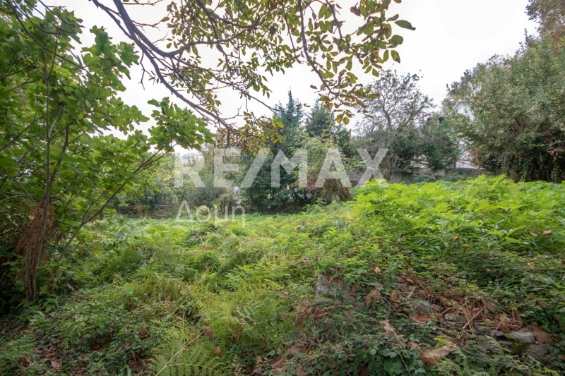 HouseFor Sale, Tsagkarada, Mouresi, Magnesia