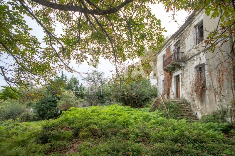 HouseFor Sale, Tsagkarada, Mouresi, Magnesia