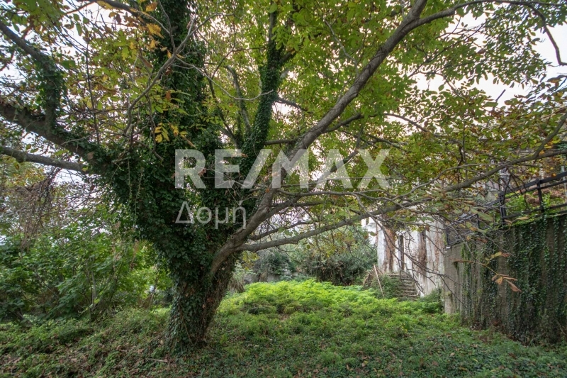 HouseFor Sale, Tsagkarada, Mouresi, Magnesia