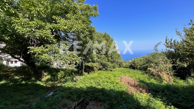 HouseFor Sale, Tsagkarada, Mouresi, Magnesia