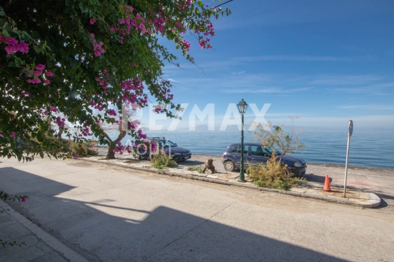 HouseFor Sale, Afissos, Afetes, Magnesia HouseFor Sale, Afissos, Afetes, Magnesia