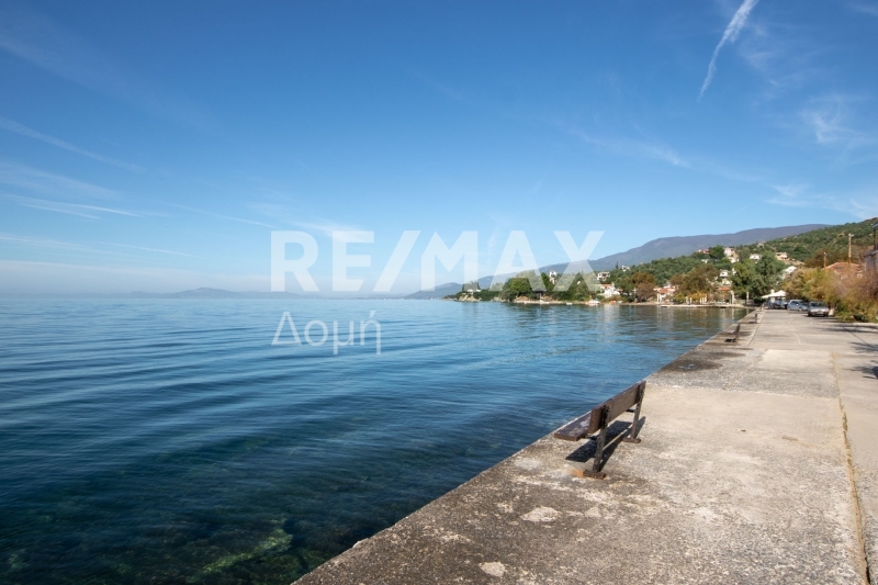 HouseFor Sale, Afissos, Afetes, Magnesia HouseFor Sale, Afissos, Afetes, Magnesia