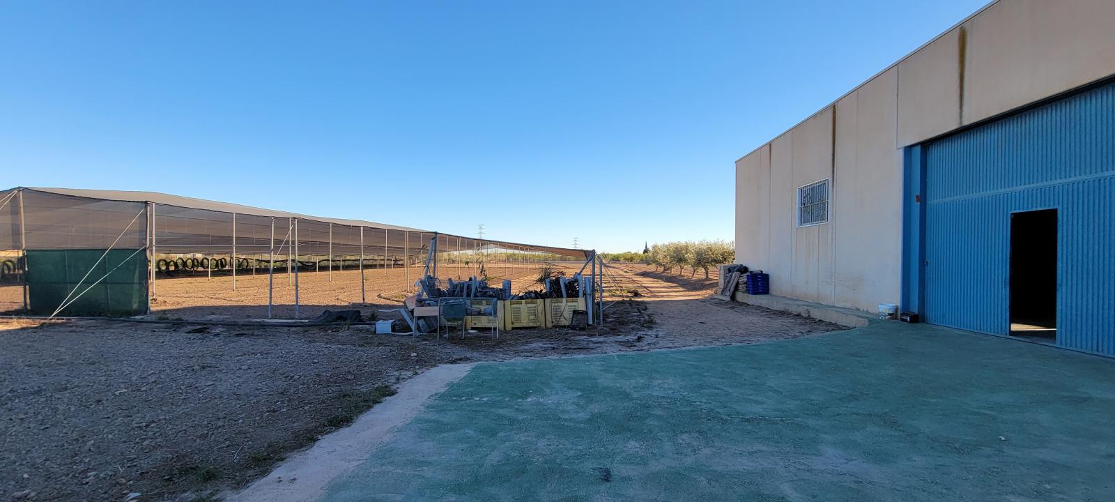 1 Bed, 1 Bath, HouseFor Sale, San Miguel de Salinas, Alicante