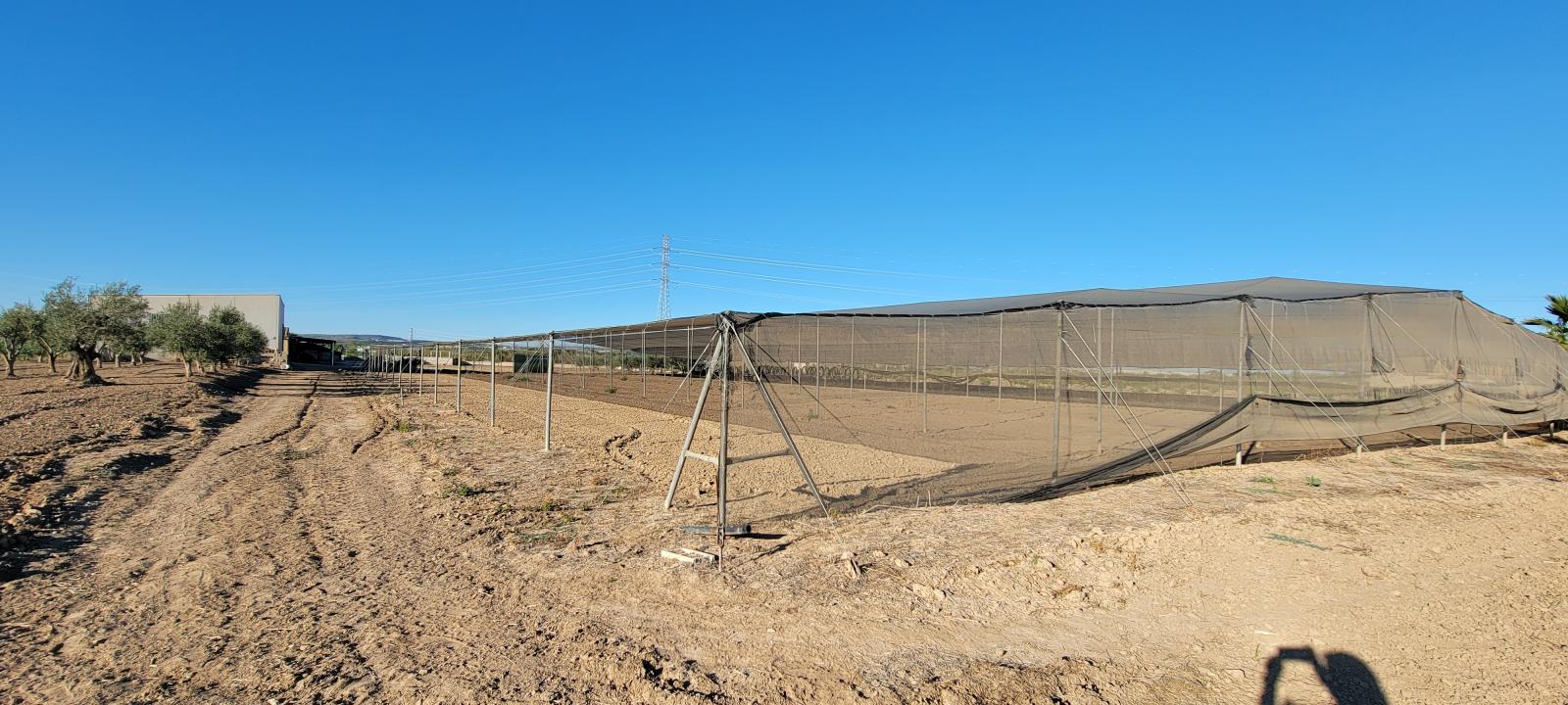 1 Bed, 1 Bath, HouseFor Sale, San Miguel de Salinas, Alicante