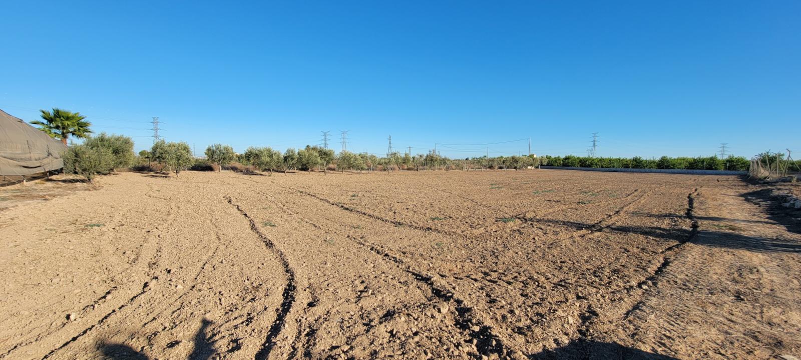 1 Bed, 1 Bath, HouseFor Sale, San Miguel de Salinas, Alicante