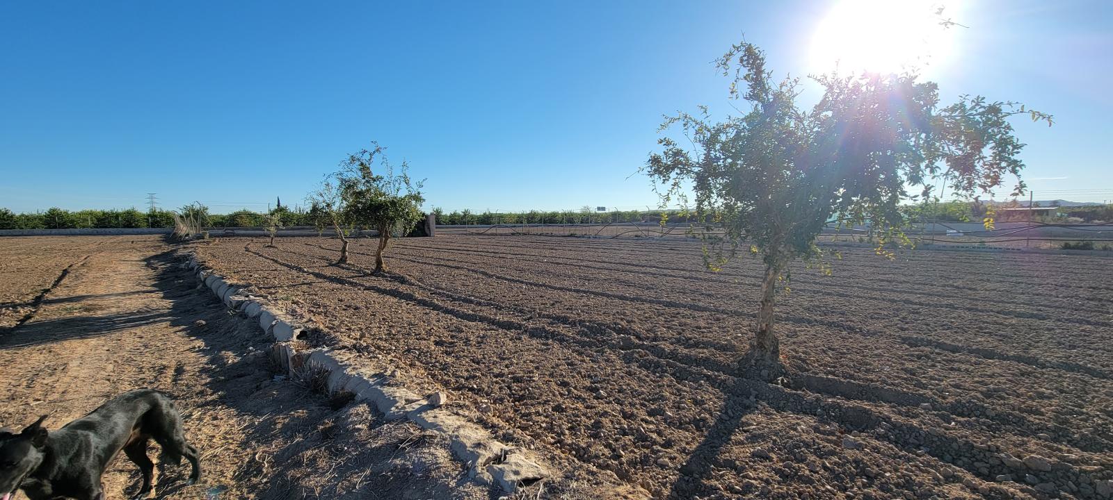 1 Bed, 1 Bath, HouseFor Sale, San Miguel de Salinas, Alicante