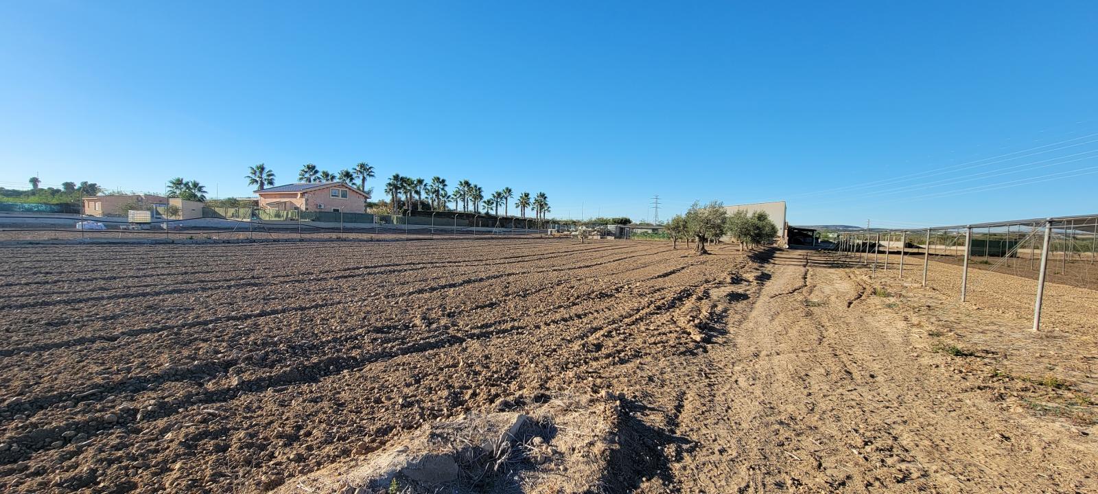 1 Bed, 1 Bath, HouseFor Sale, San Miguel de Salinas, Alicante