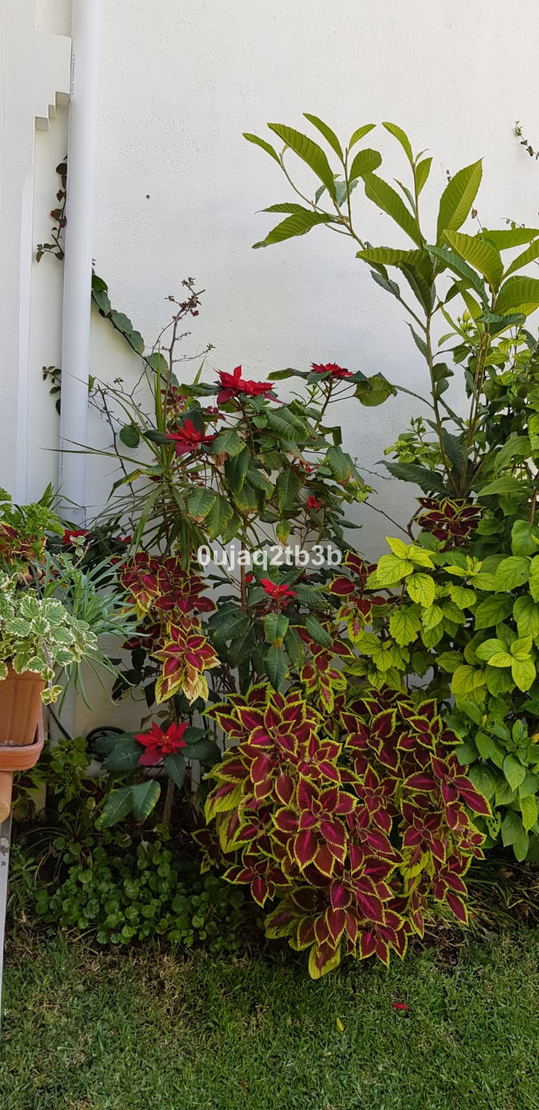 5 Bed, 4 Bath, HouseFor Sale, New Golden Mile, Malaga