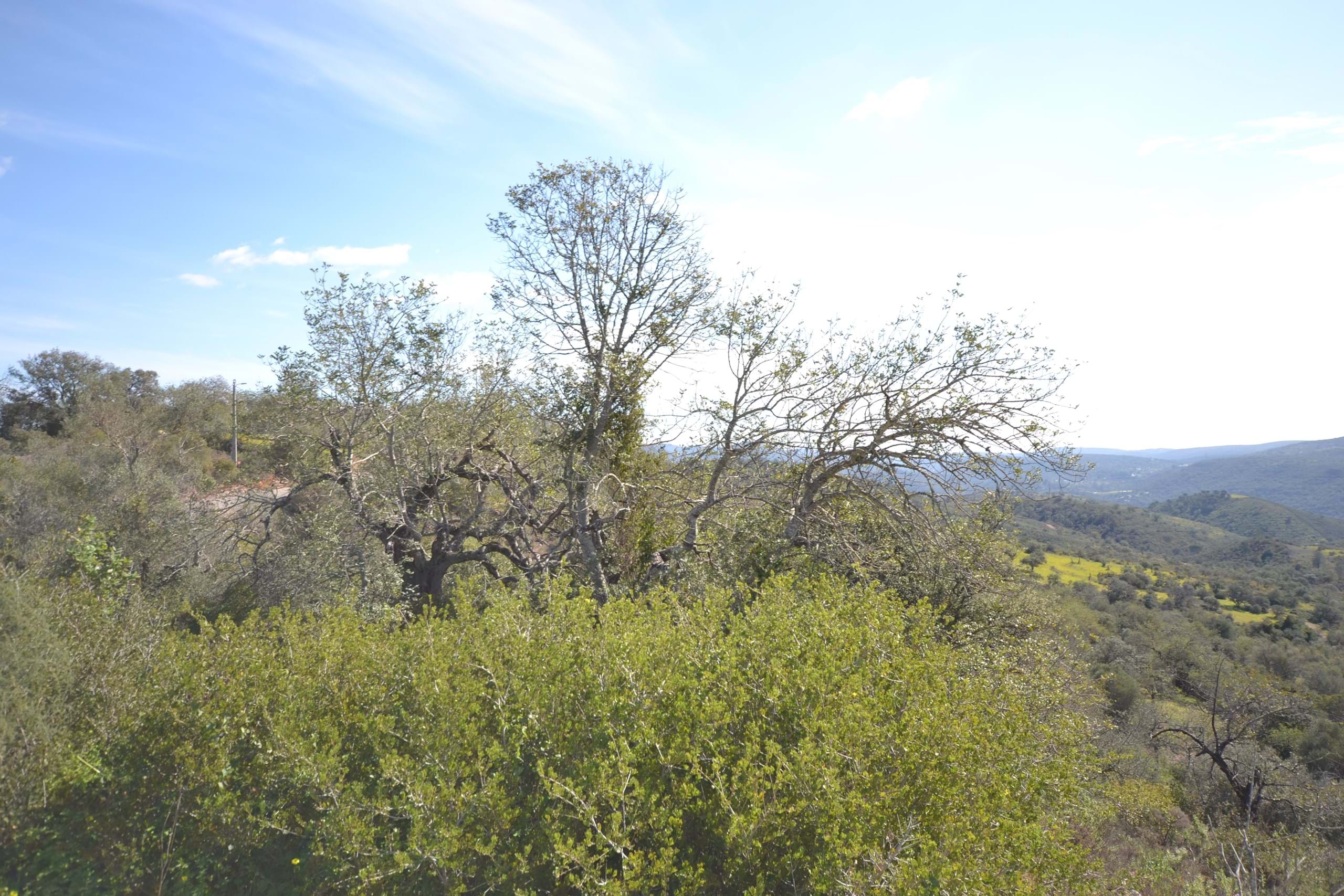 2 Bed, 2 Bath, HouseFor Sale, Loulé, Faro, 8100-399