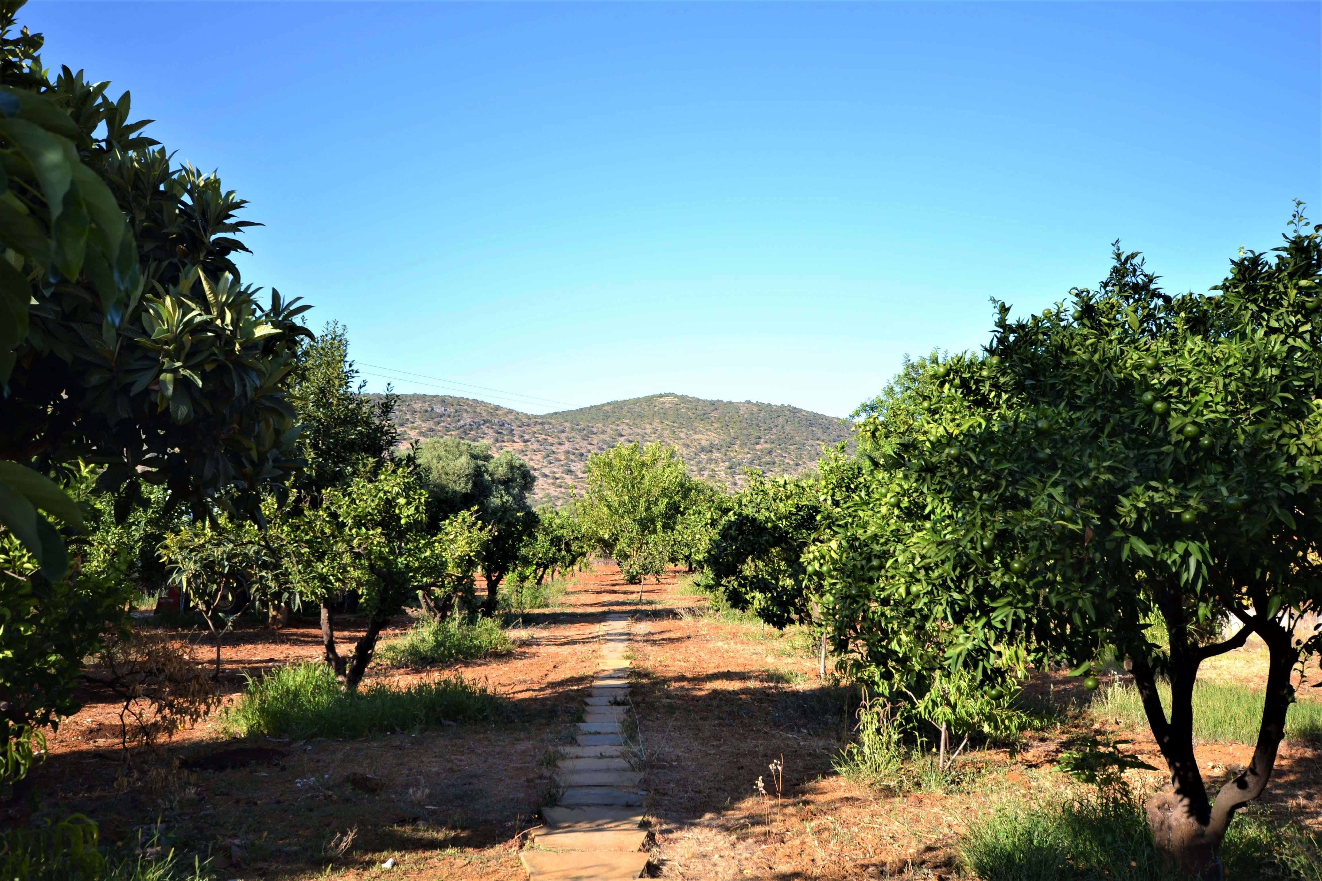 Commercial Property, For Sale