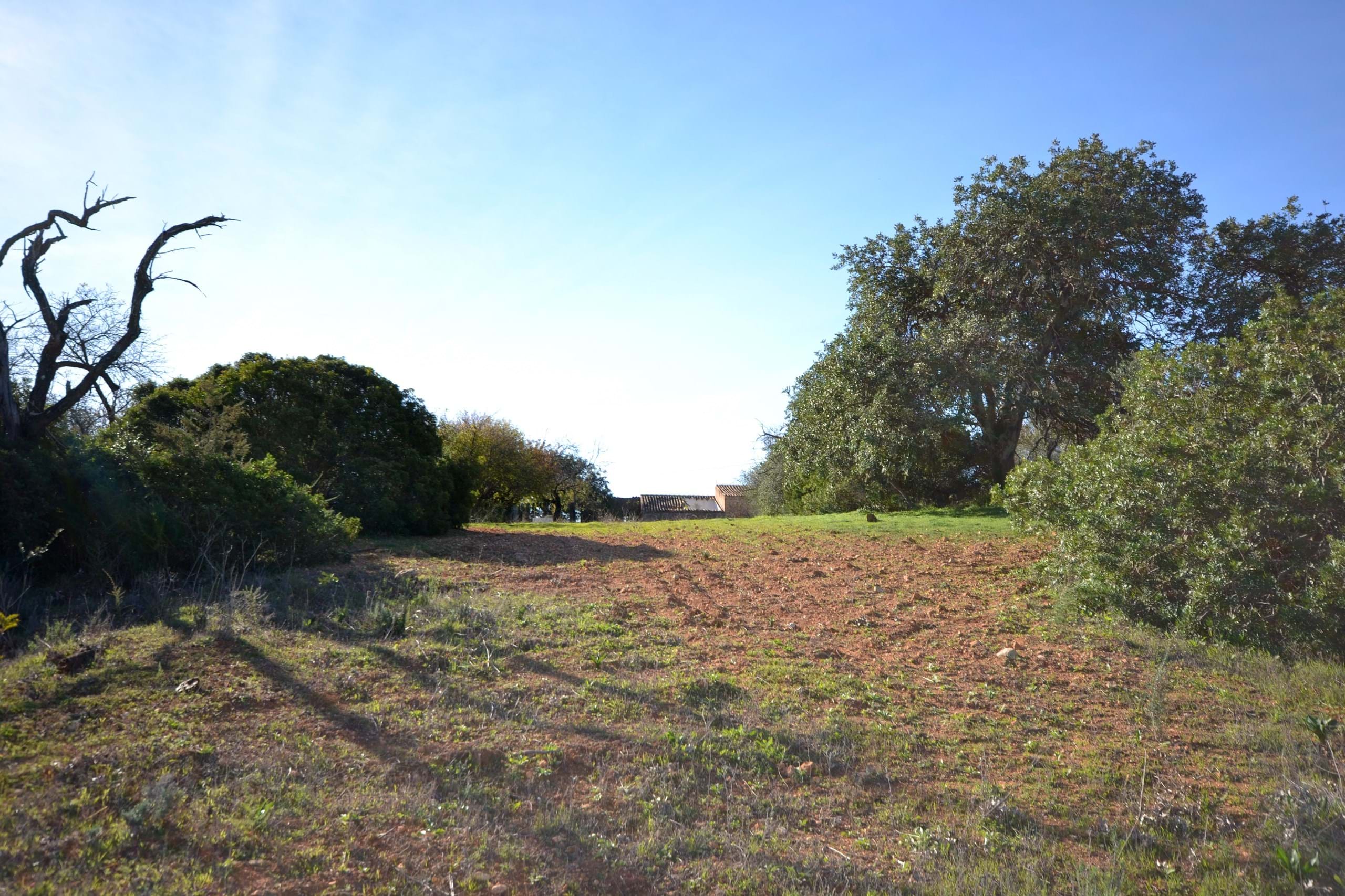 Land, For Sale