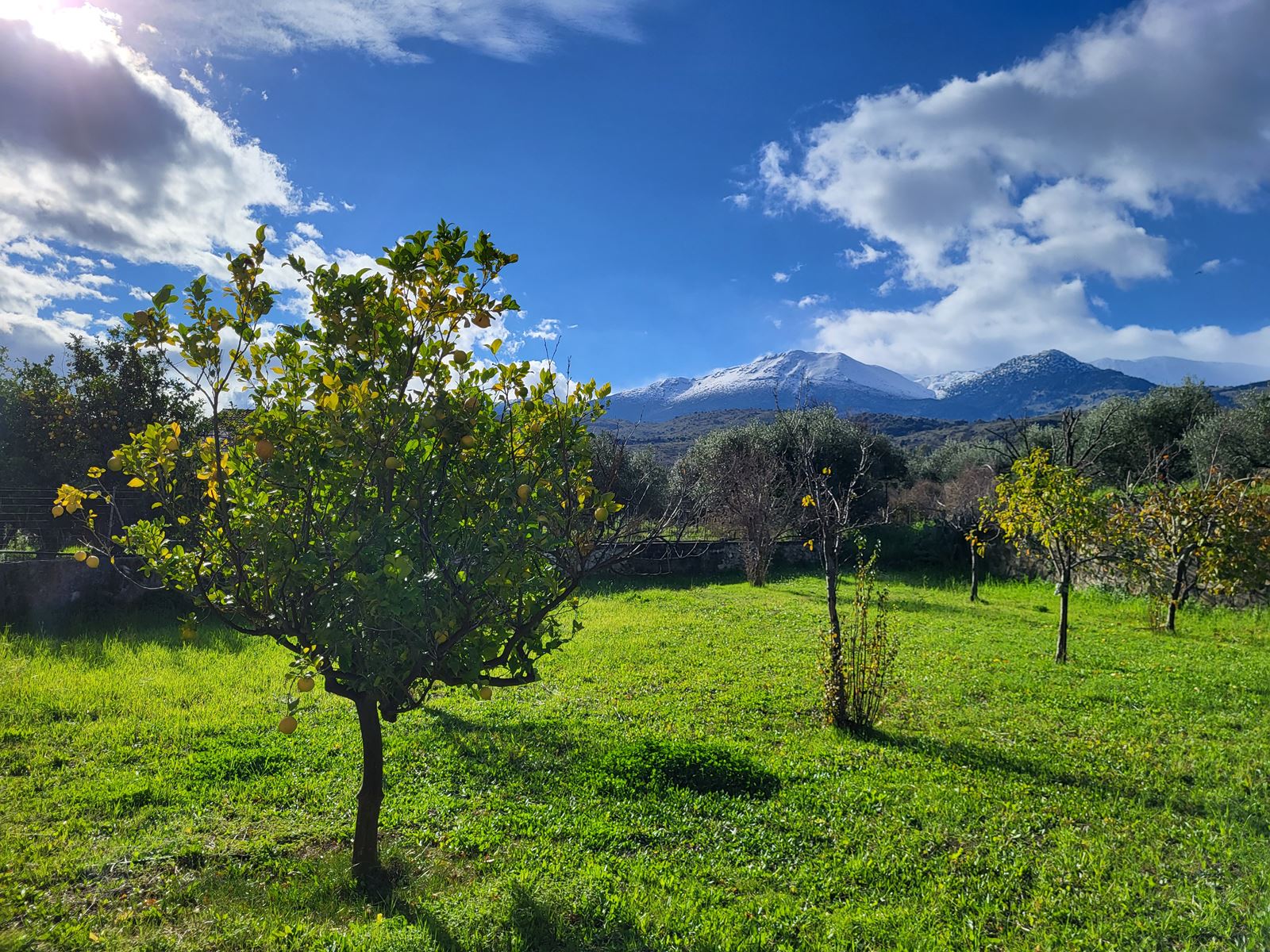 6 Bed, 3 Bath, HouseFor Sale, Chania, Crete, 73007