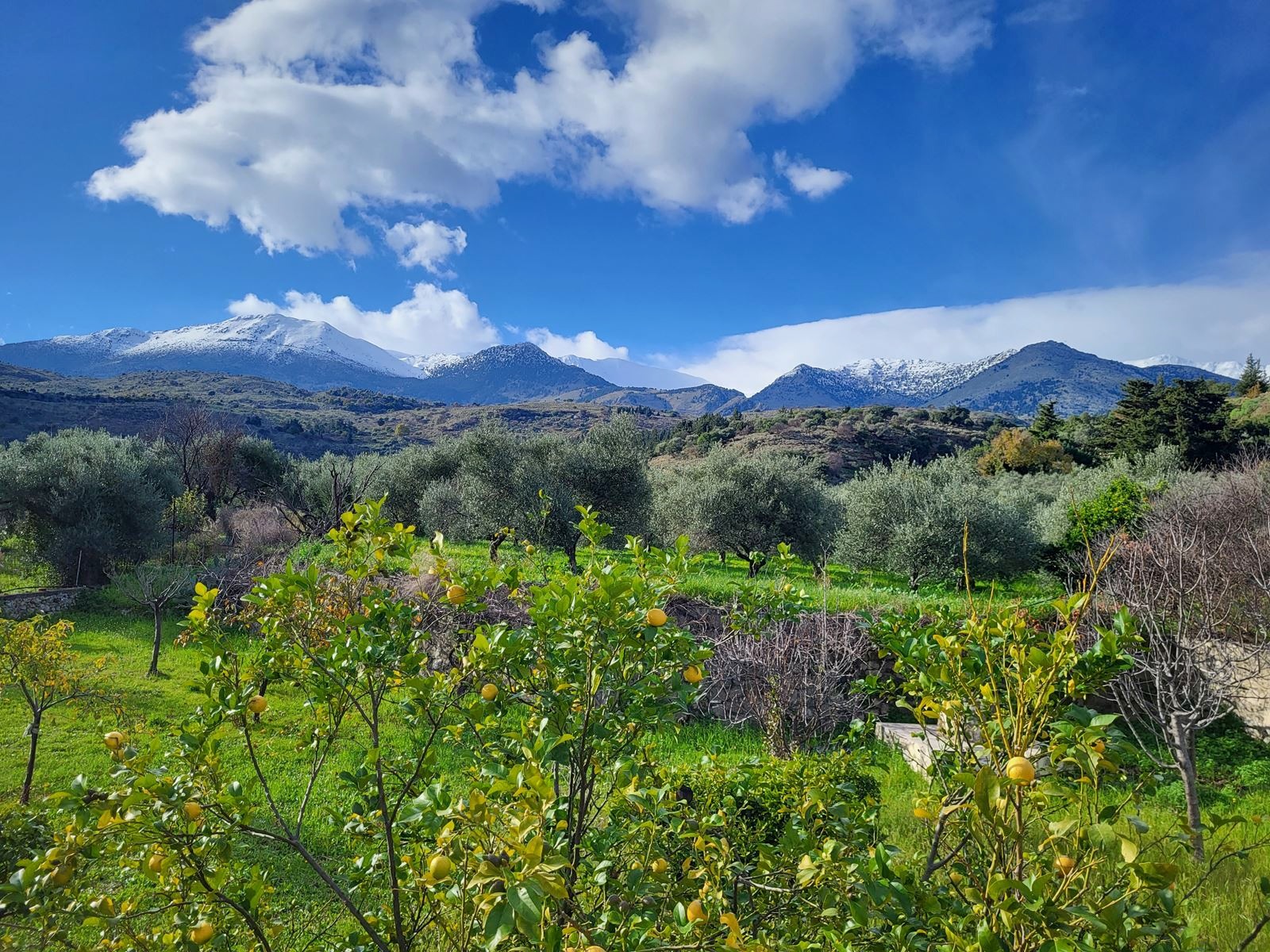 6 Bed, 3 Bath, HouseFor Sale, Chania, Crete, 73007