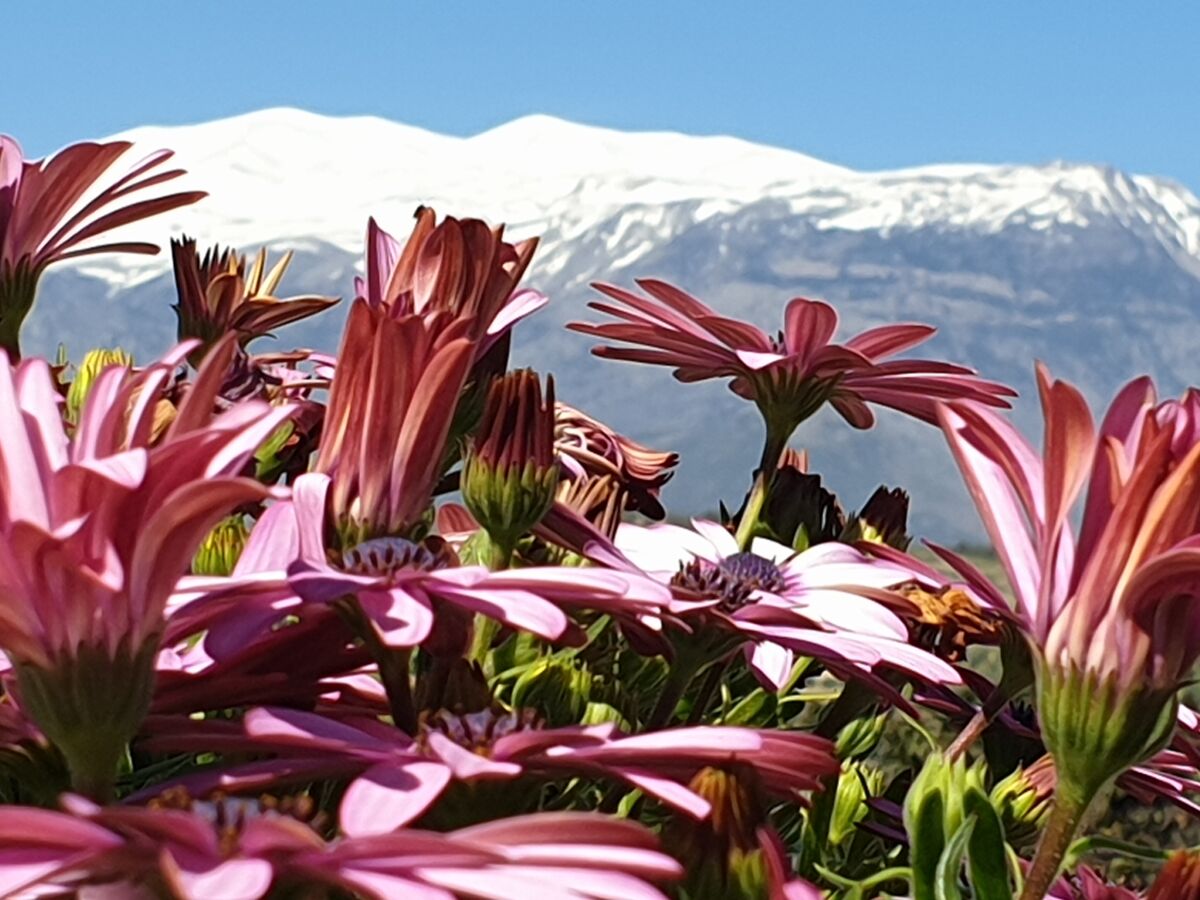 2 Bed, 2 Bath, HouseFor Sale, Heraklion, Crete