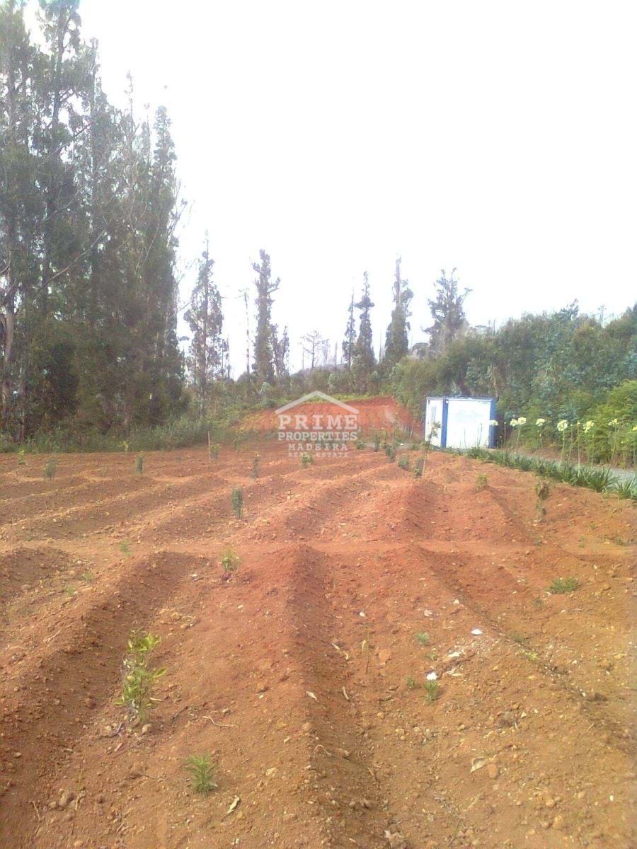 Land, For Sale