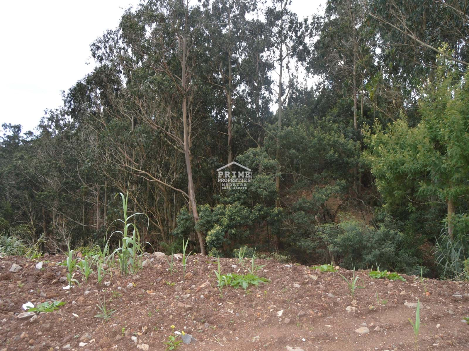 Land, For Sale Land, For Sale