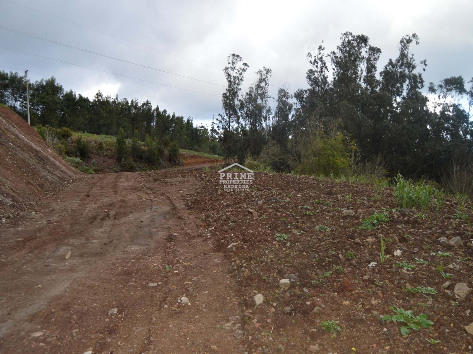Land, For Sale Land, For Sale