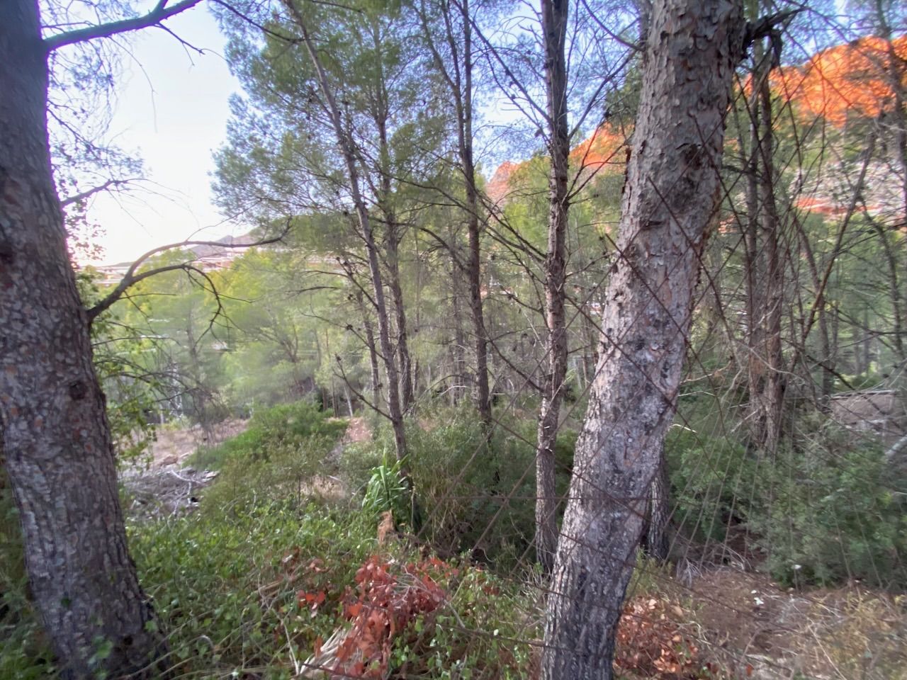 Altea, Alicante, ,For Sale,PAR0073 - OPF