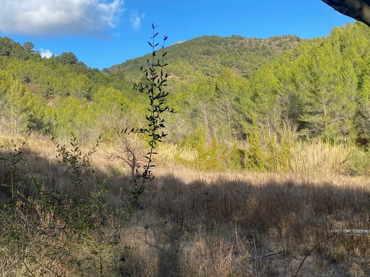 Tarbena, Alicante, ,For Sale,PAR0074 - OPF