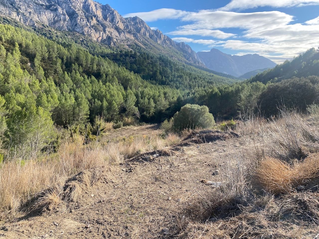 Tarbena, Alicante, ,For Sale,PAR0074 - OPF