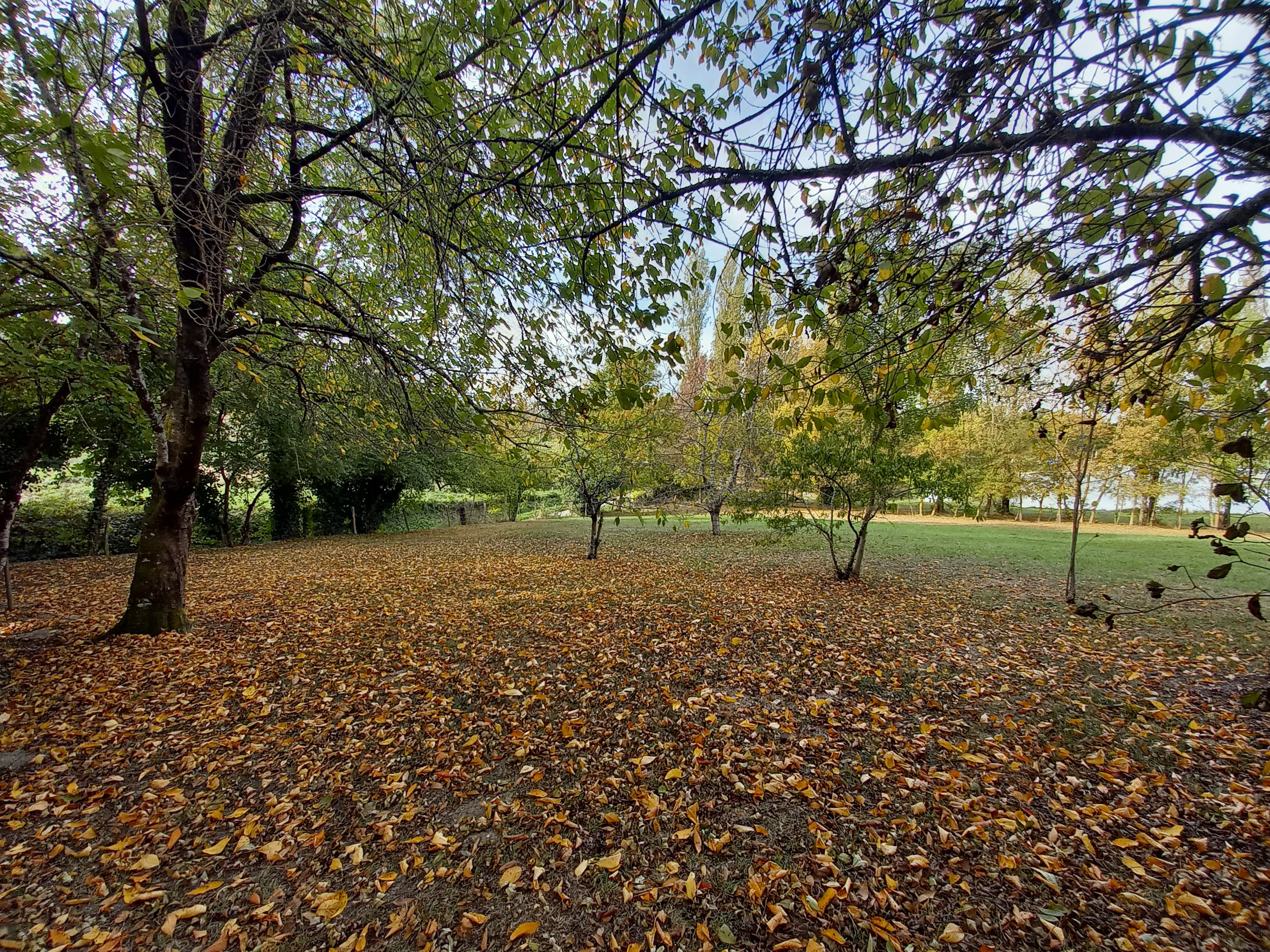 5 Bed, 2 Bath, HouseFor Sale, Lougratte, Lot-et-Garonne, Aquitaine, 47290