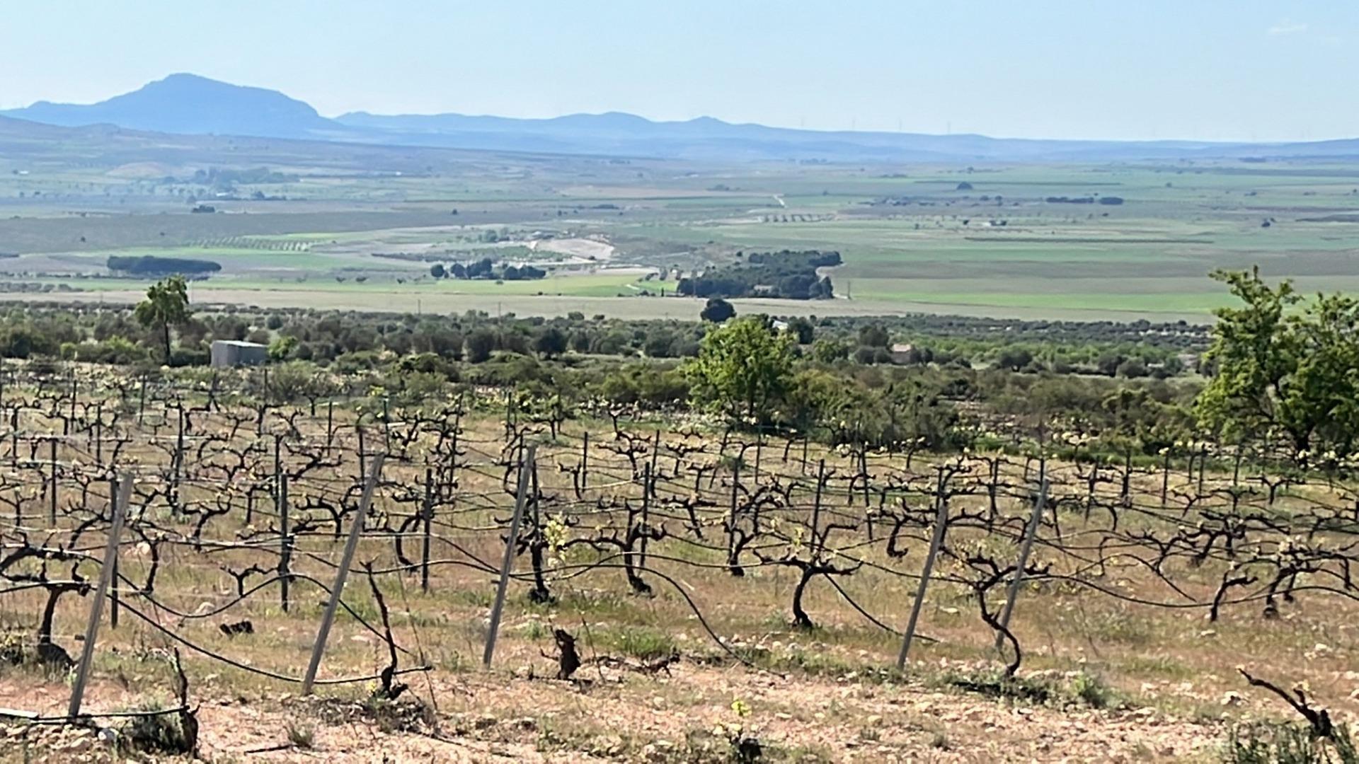 6 Bed, 5 Bath, HouseFor Sale, Yecla, Murcia 6 Bed, 5 Bath, HouseFor Sale, Yecla, Murcia