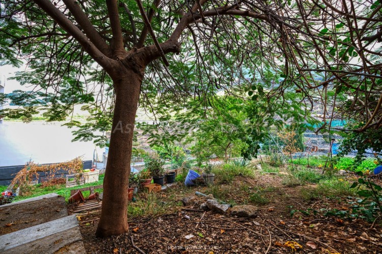 5 Bed, 3 Bath, HouseFor Sale, Adeje, Adeje