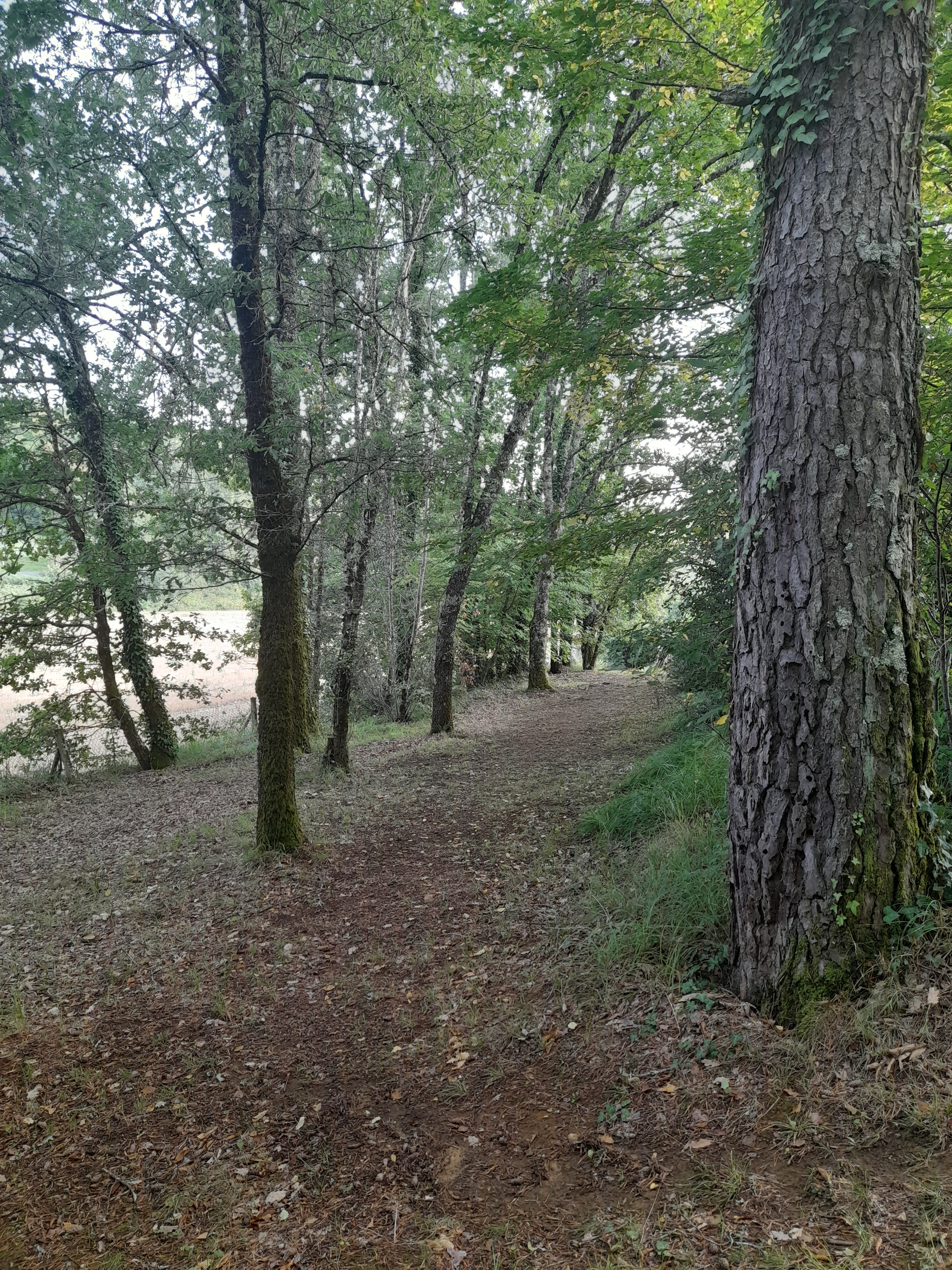 4 Bed, 1 Bath, HouseFor Sale, Saint Alvere, Dordogne, Aquitaine, 24510