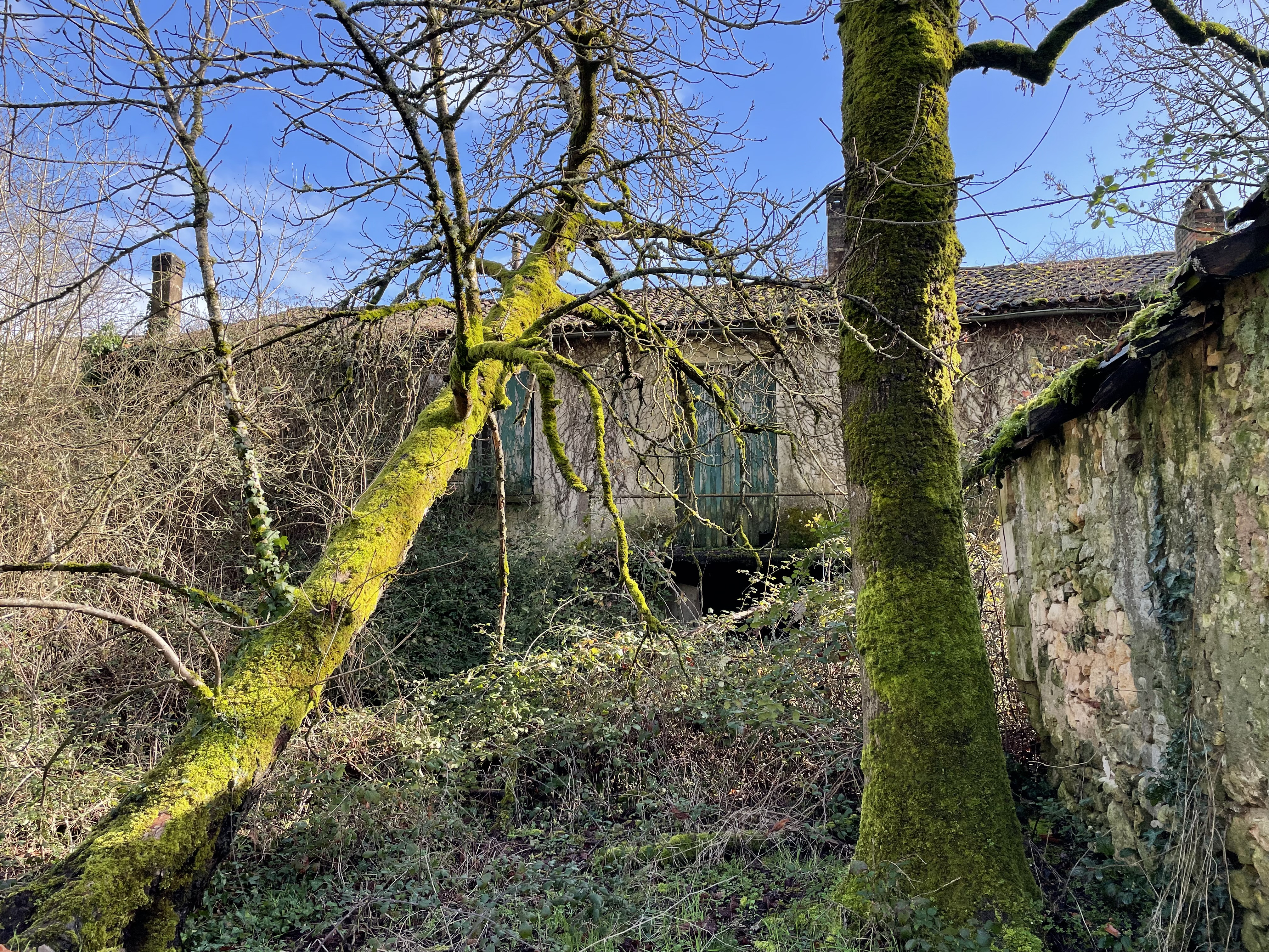 Commercial Property, For Sale