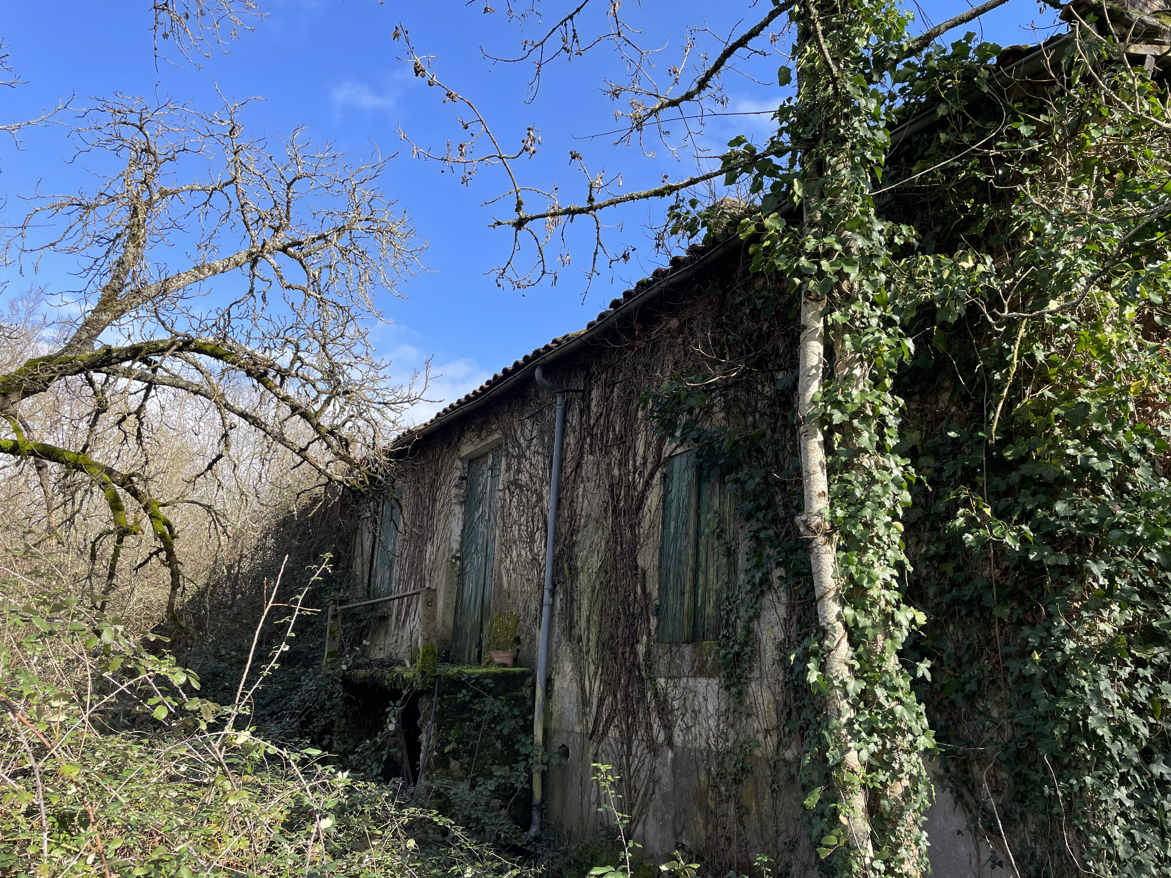 Commercial Property, For Sale