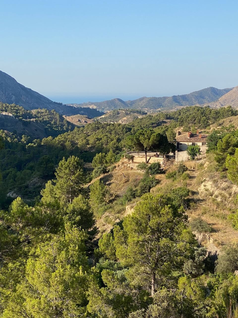 Orcheta, Alicante, 9 Bedrooms Bedrooms, ,For Sale,MAS0031 - OPF