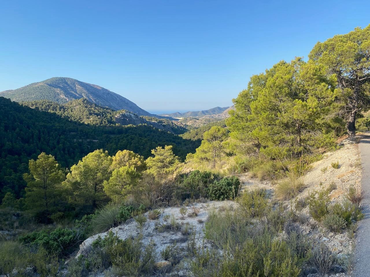 Orcheta, Alicante, 9 Bedrooms Bedrooms, ,For Sale,MAS0031 - OPF