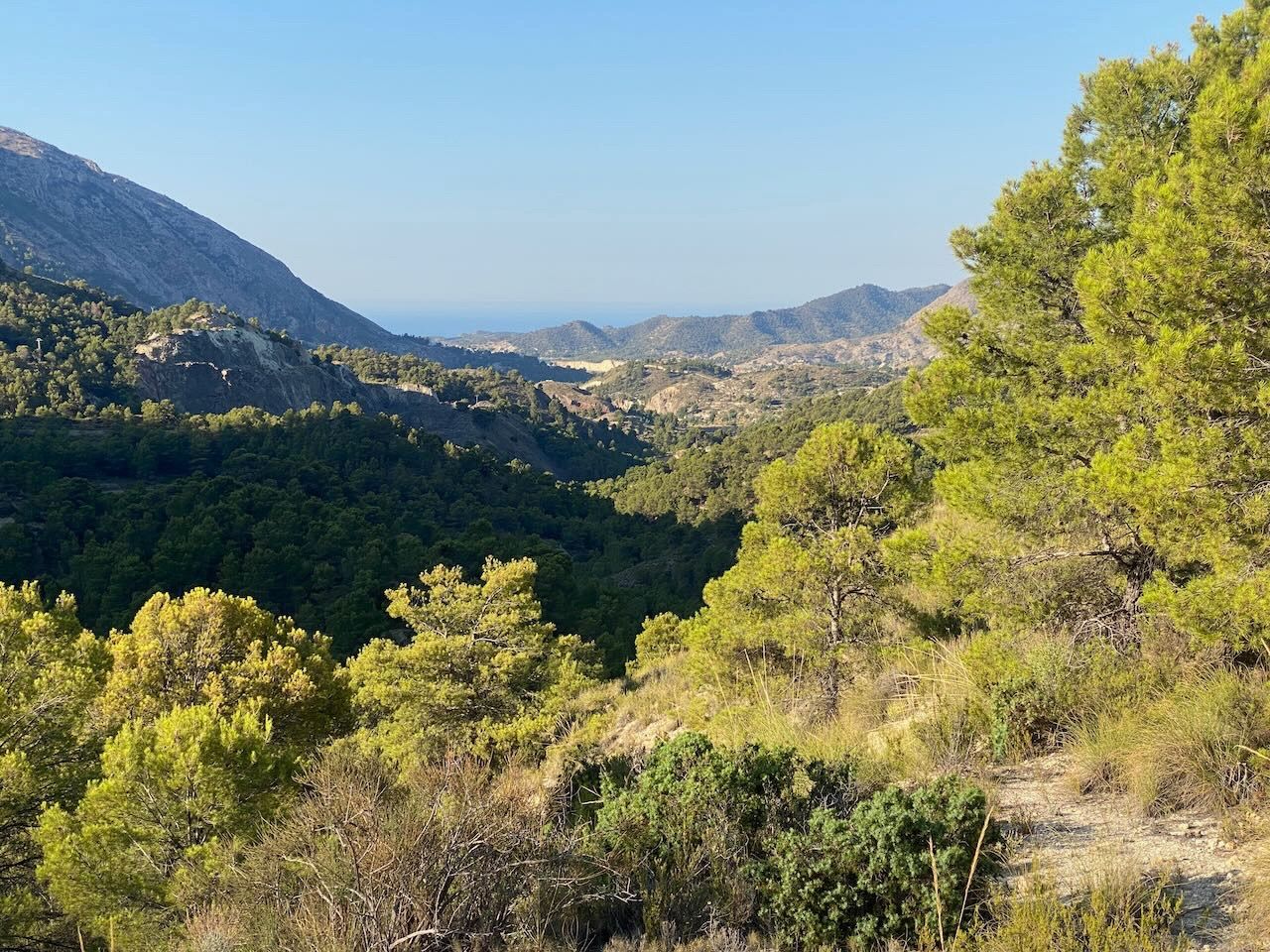 Orcheta, Alicante, 9 Bedrooms Bedrooms, ,For Sale,MAS0031 - OPF