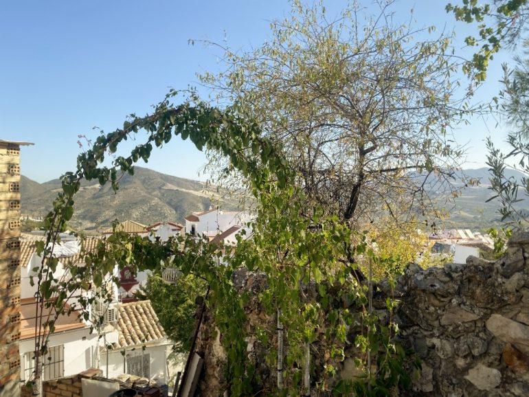 3 Bed, 1 Bath, HouseFor Sale, Olvera, Andalucia