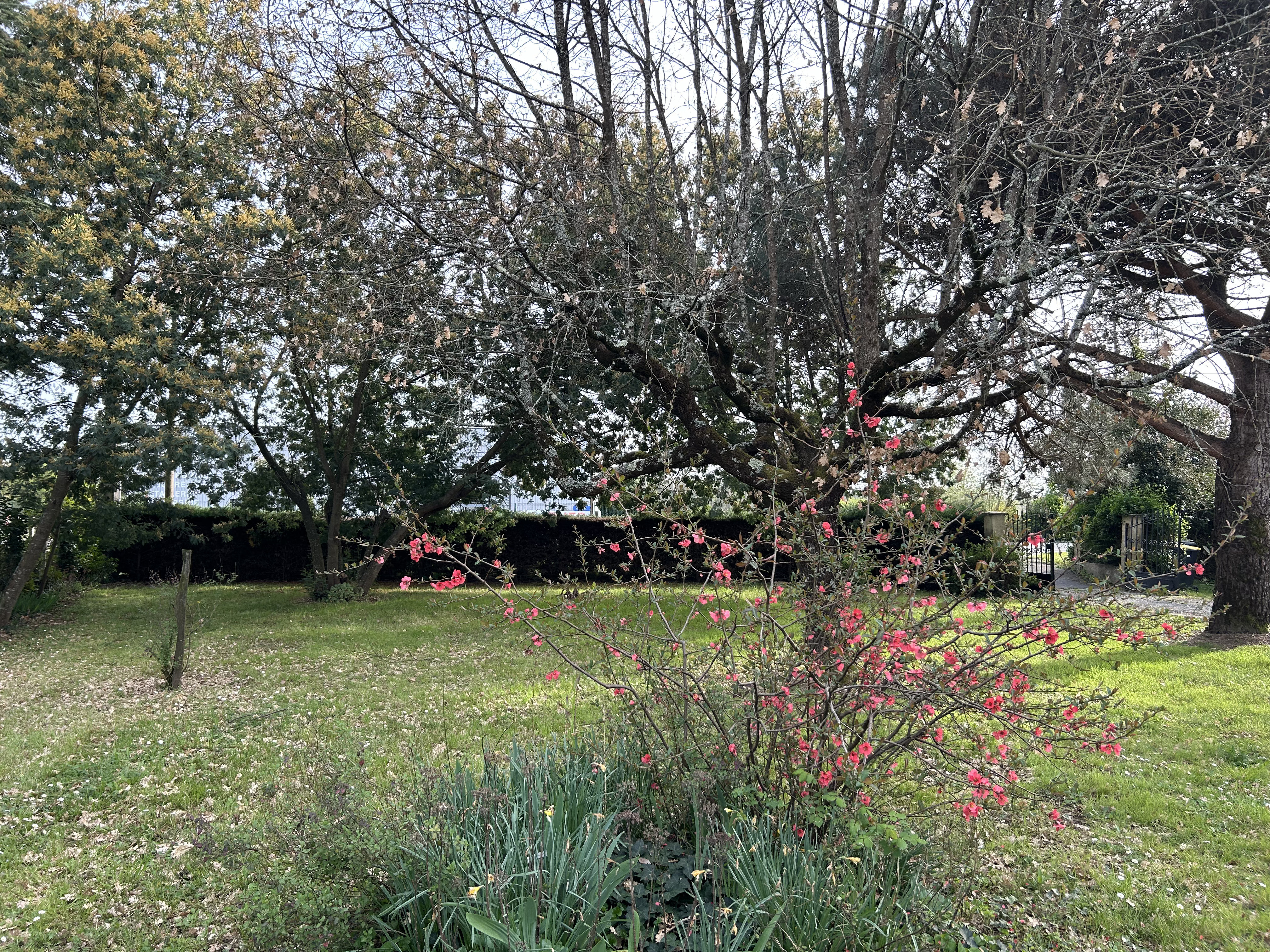 3 Bed, 1 Bath, HouseFor Sale, Saint-Antoine-De-Breuilh, Dordogne, Aquitaine, 24230