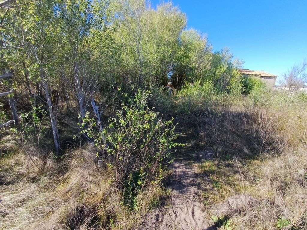 Land, For Sale Land, For Sale