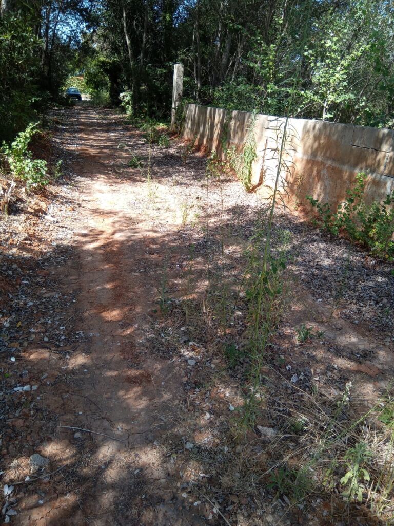 Land, For Sale Land, For Sale