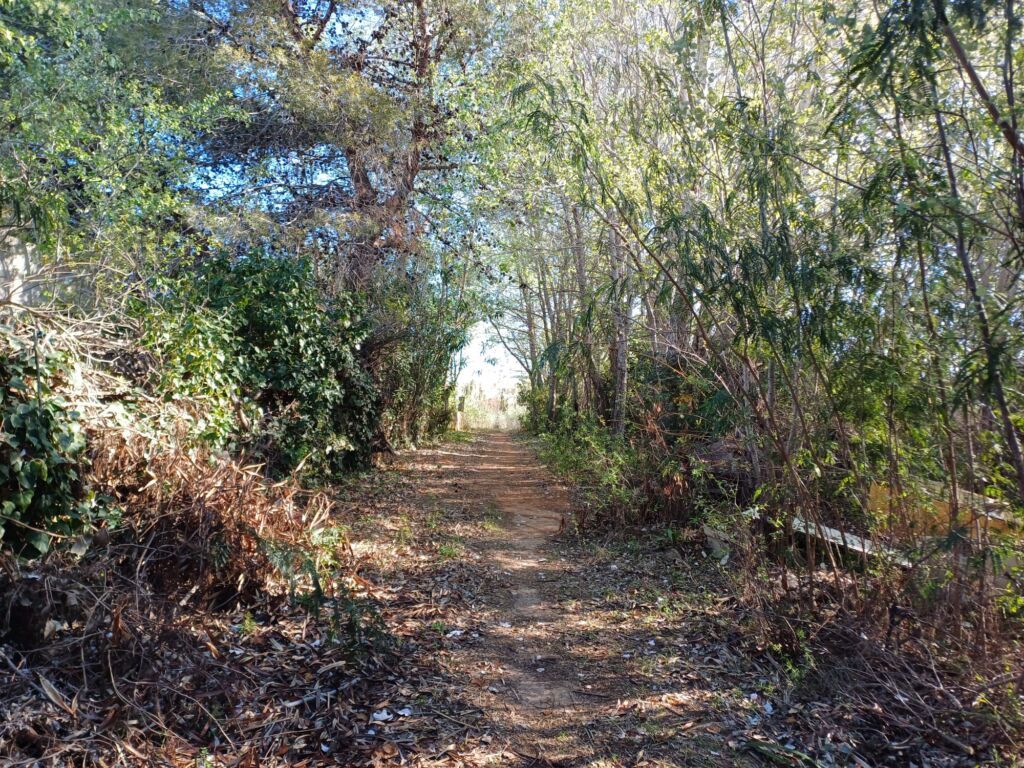 Land, For Sale Land, For Sale