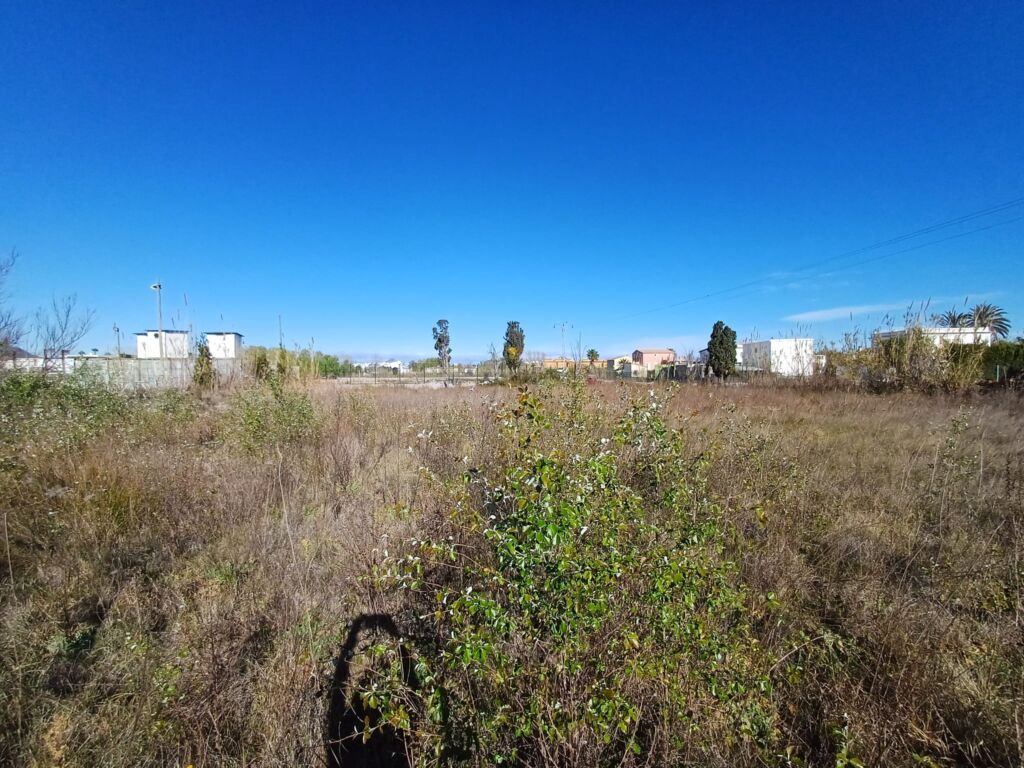 Land, For Sale Land, For Sale