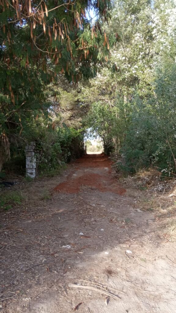 Land, For Sale Land, For Sale