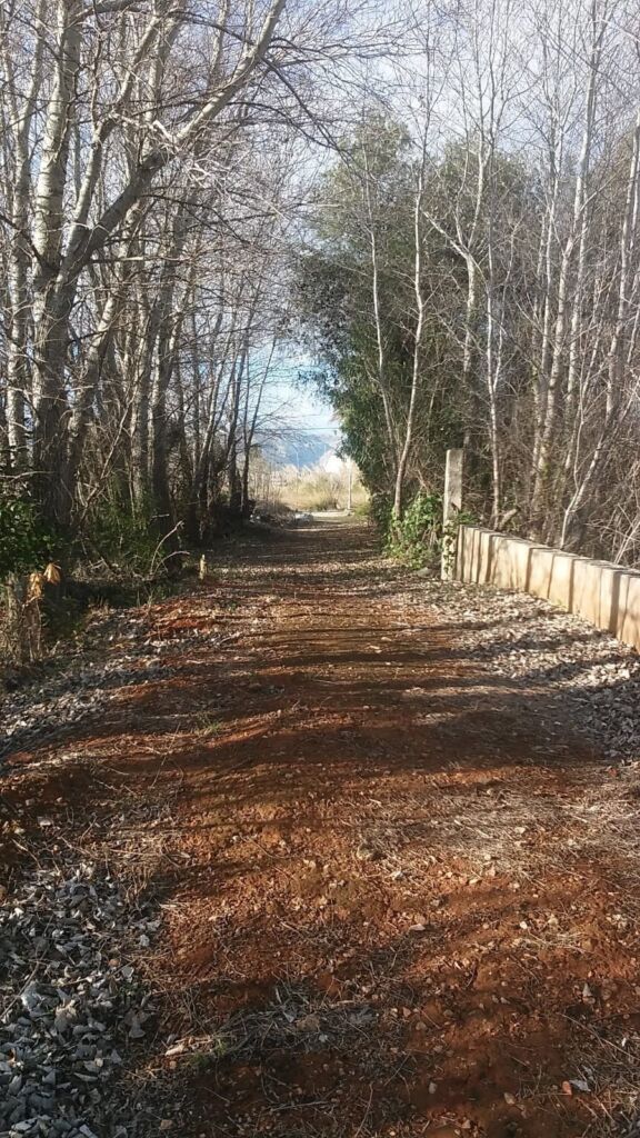 Land, For Sale Land, For Sale