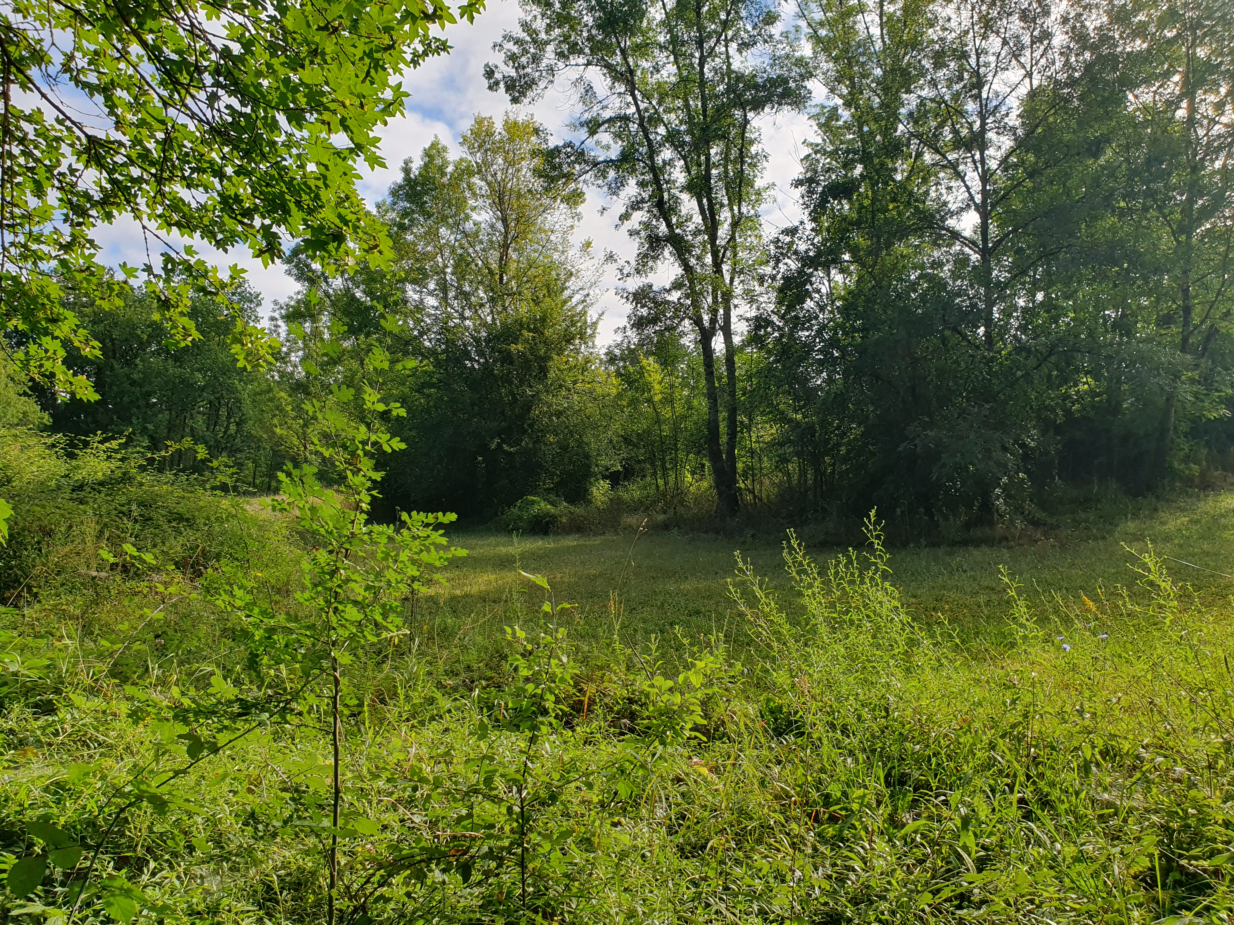 3 Bed, 1 Bath, HouseFor Sale, Serres et montguyard, Dordogne, Aquitaine, 24500