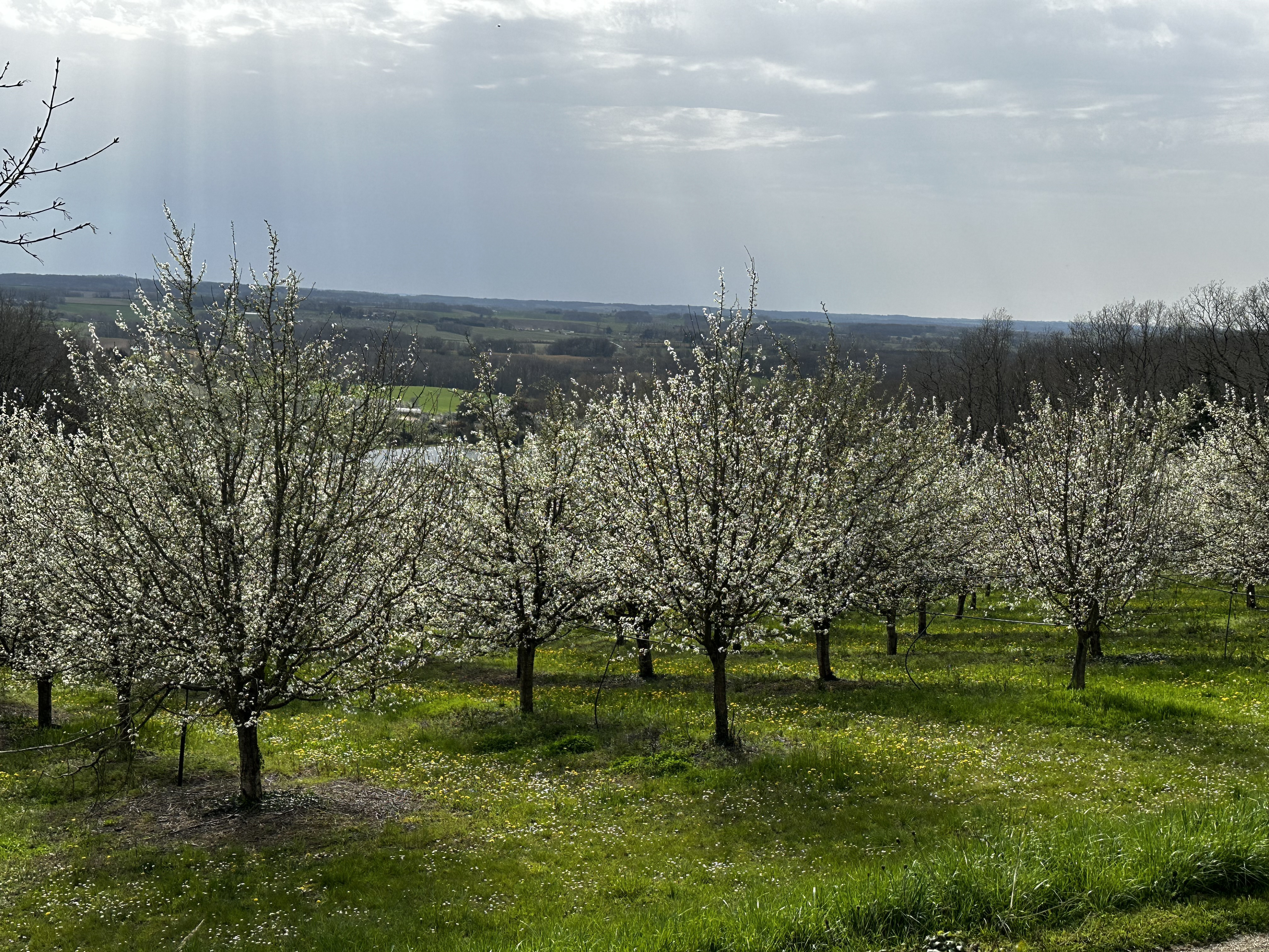 3 Bed, 2 Bath, HouseFor Sale, Serignac peboudou, Lot-et-Garonne, Aquitaine, 47410