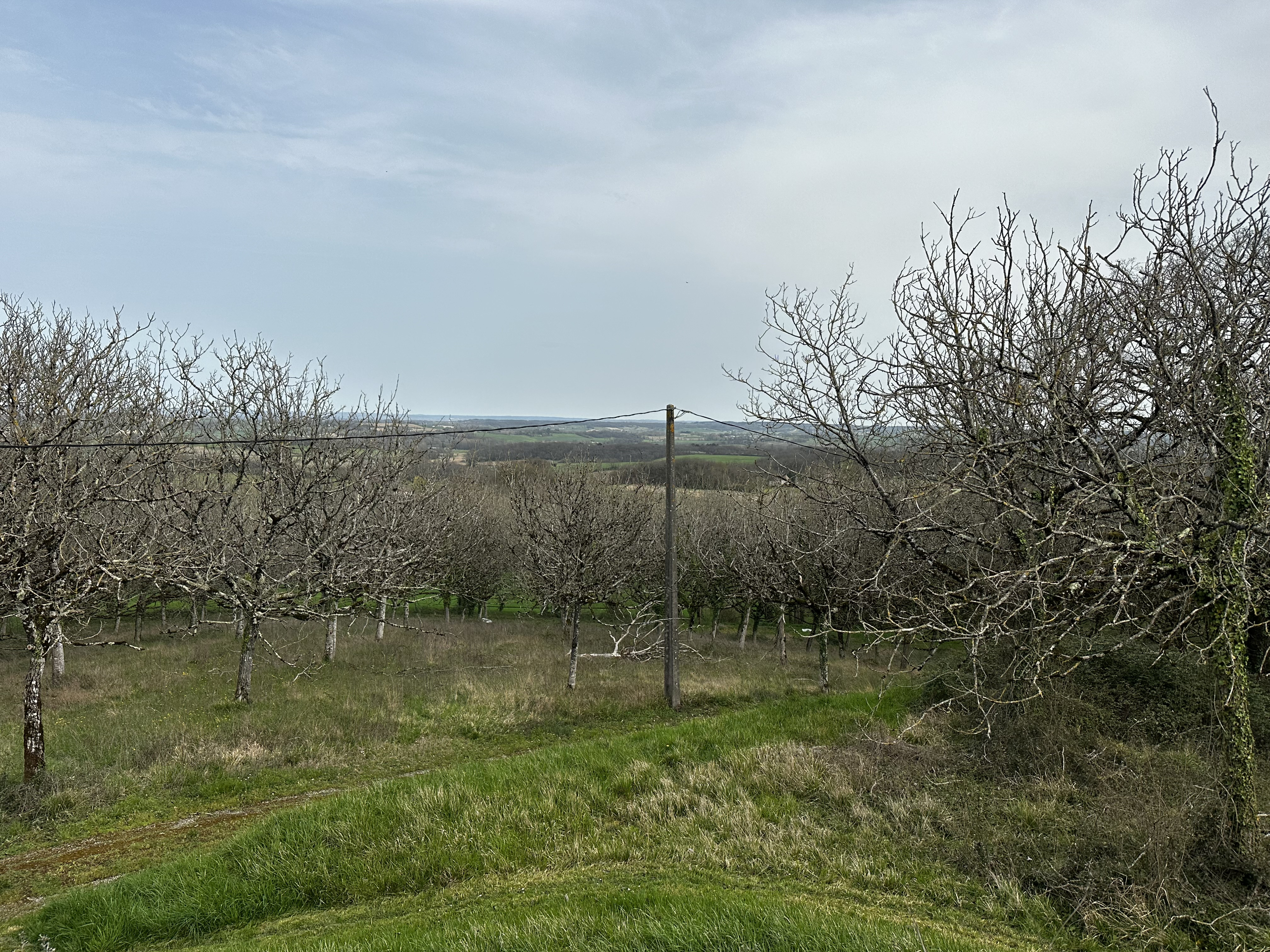 3 Bed, 2 Bath, HouseFor Sale, Serignac peboudou, Lot-et-Garonne, Aquitaine, 47410