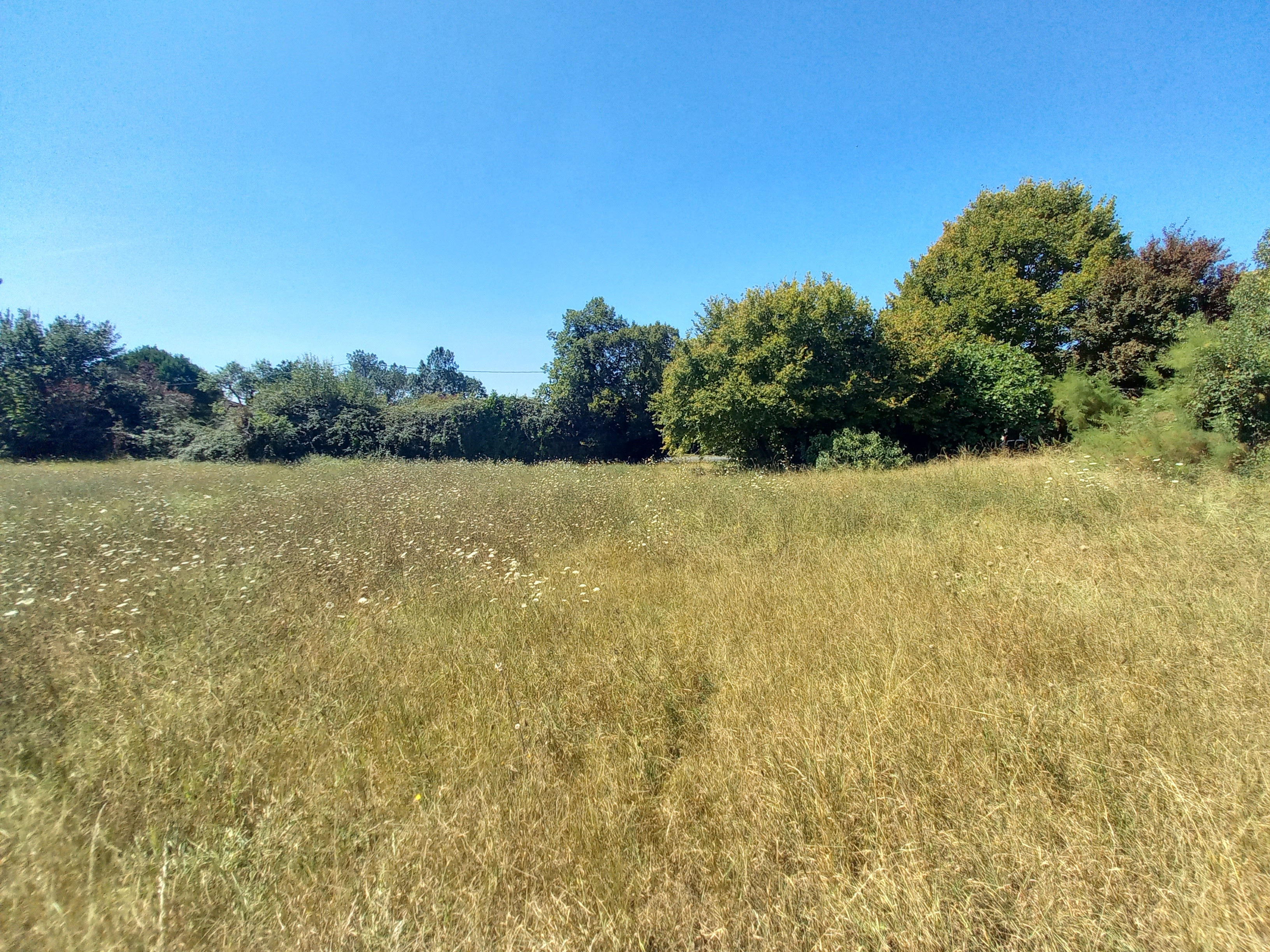 5 Bed, 1 Bath, HouseFor Sale, Villereal, Lot-et-Garonne, Aquitaine, 47210