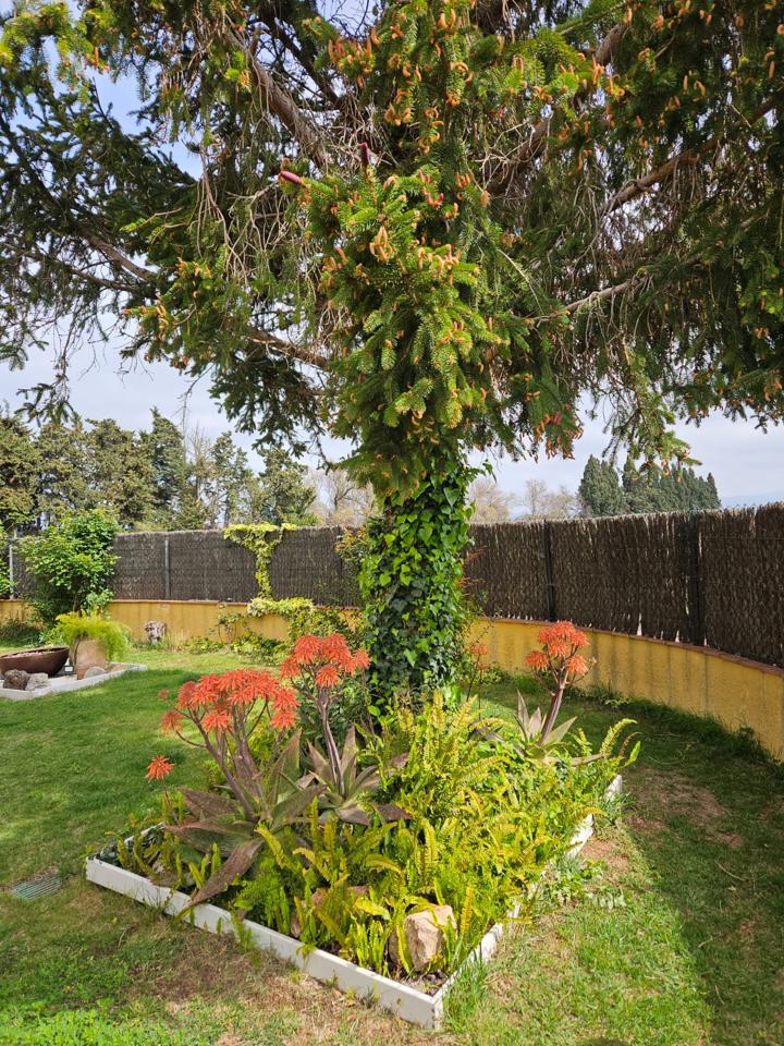 3 Bed, 2 Bath, HouseFor Sale, Fortia, Girona, 17469