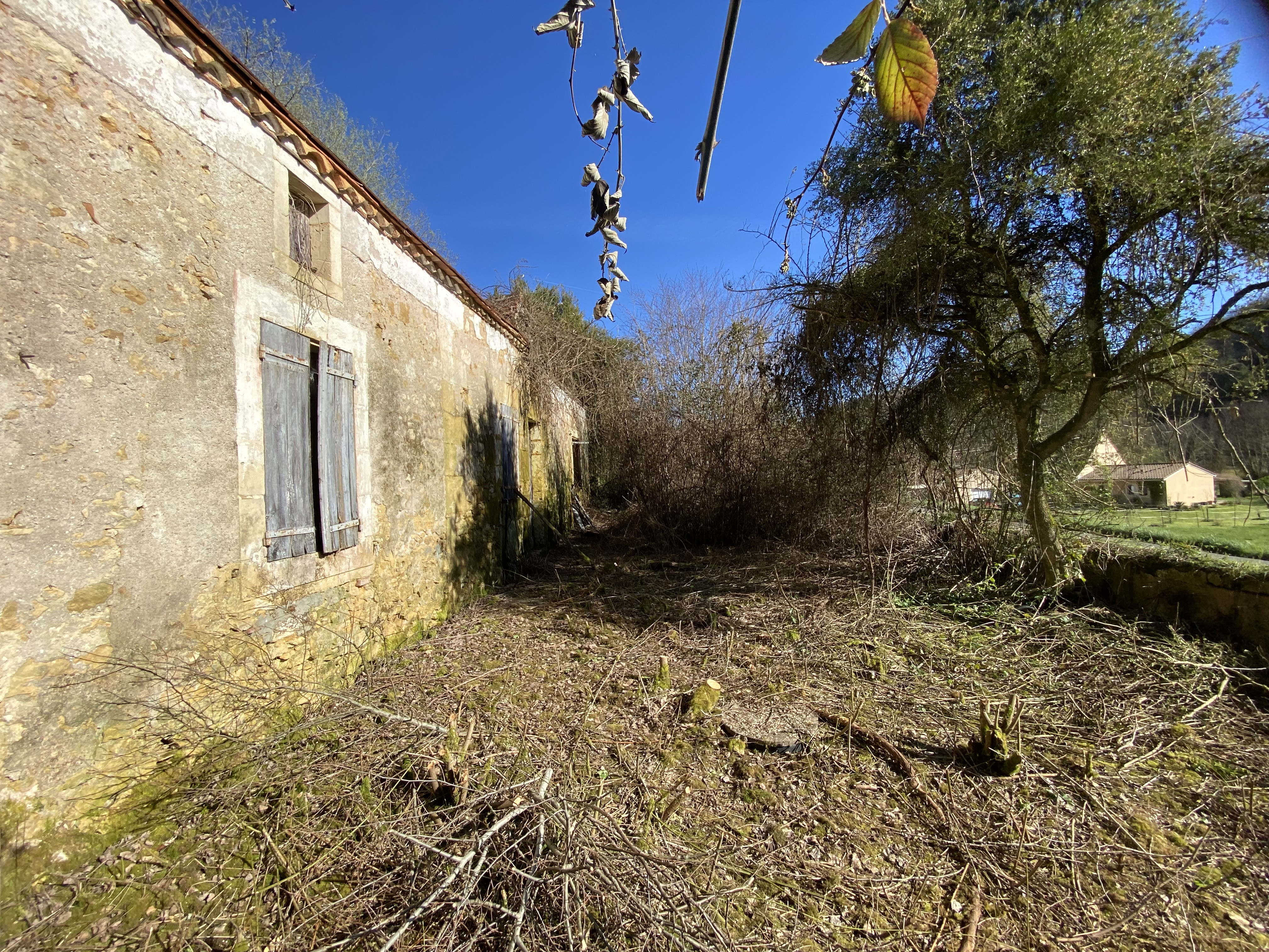 1 Bed, 1 Bath, HouseFor Sale, Campagne, Dordogne, Aquitaine, 24260