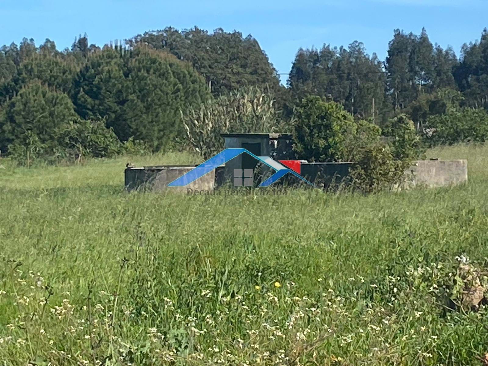 1 Bath, HouseFor Sale, Coruche, Santarém, 2100-011