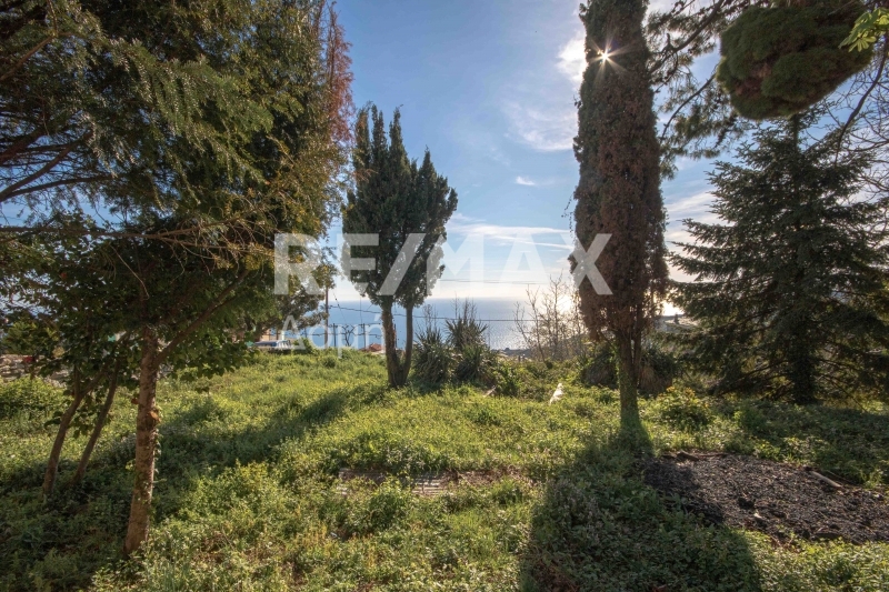 HouseFor Sale, Center, Zagora, Magnesia