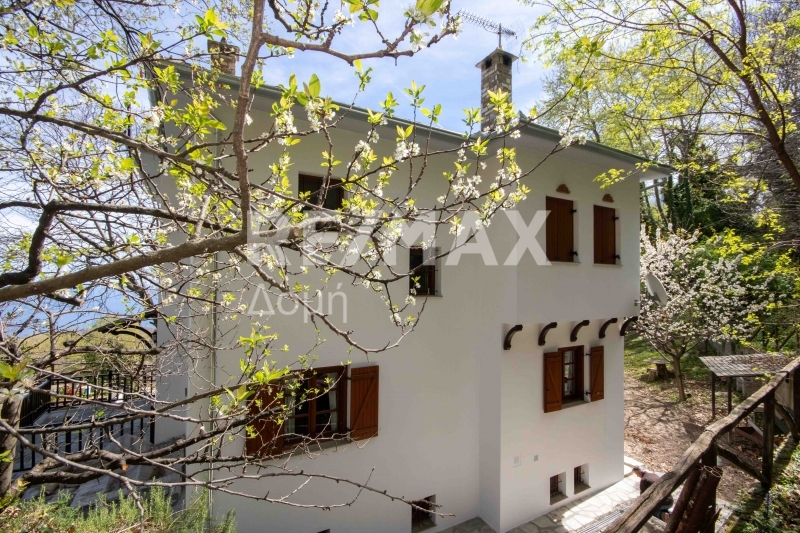 4 Bed, 4 Bath, HouseFor Sale, Tsagkarada, Mouresi, Magnesia